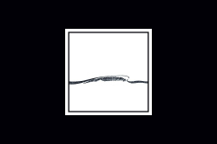 003_kvadrat