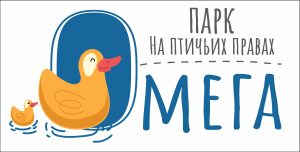 Всё важное о проекте «На птичьих правах»